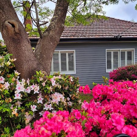 La Villette Sleeps 9 Fireplace Bbq Pet Friendly Katoomba Zewnętrze zdjęcie