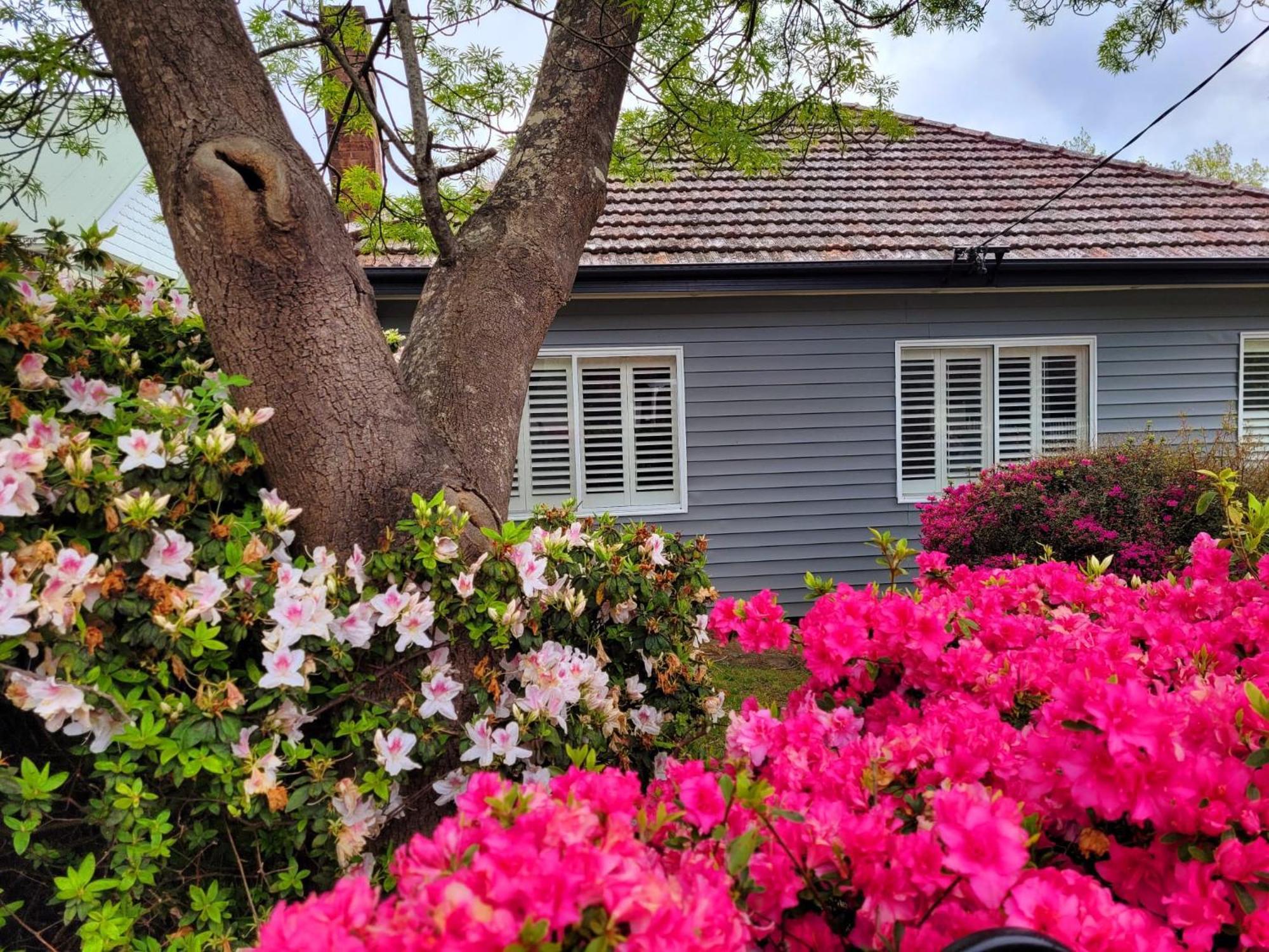 La Villette Sleeps 9 Fireplace Bbq Pet Friendly Katoomba Zewnętrze zdjęcie